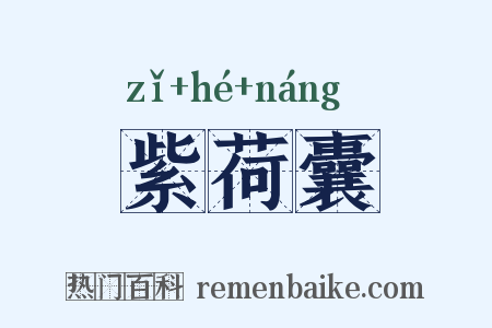 紫荷囊是什么意思的图片